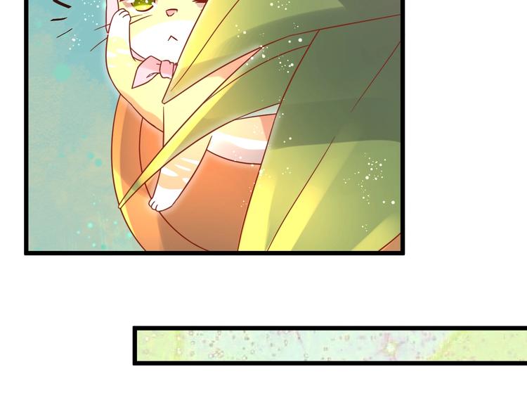 第12话 铲屎官的危机68