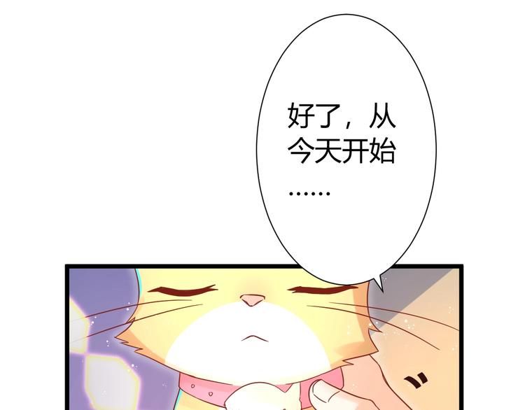 第12话 铲屎官的危机4