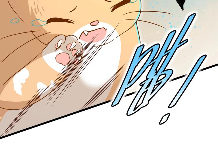 第7话 变回原形的橘猫公主83
