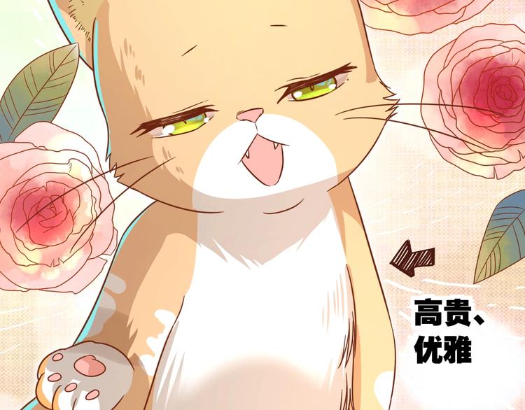第7话 变回原形的橘猫公主72