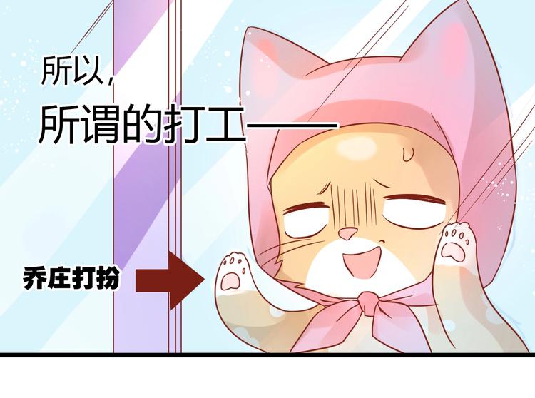 第12话 铲屎官的危机33