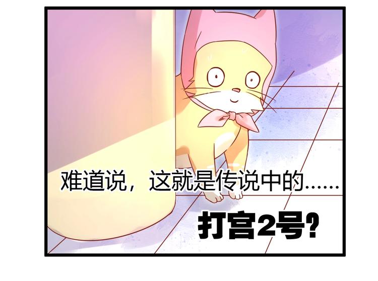 第12话 铲屎官的危机73