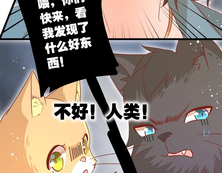 第8话 暴躁大佬在线索命65