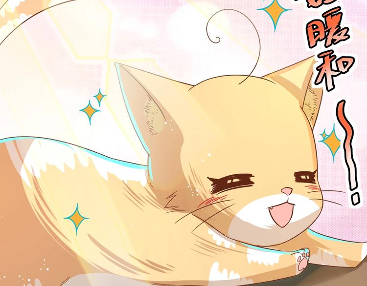第7话 变回原形的橘猫公主41