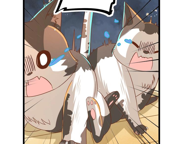第7话 变回原形的橘猫公主37