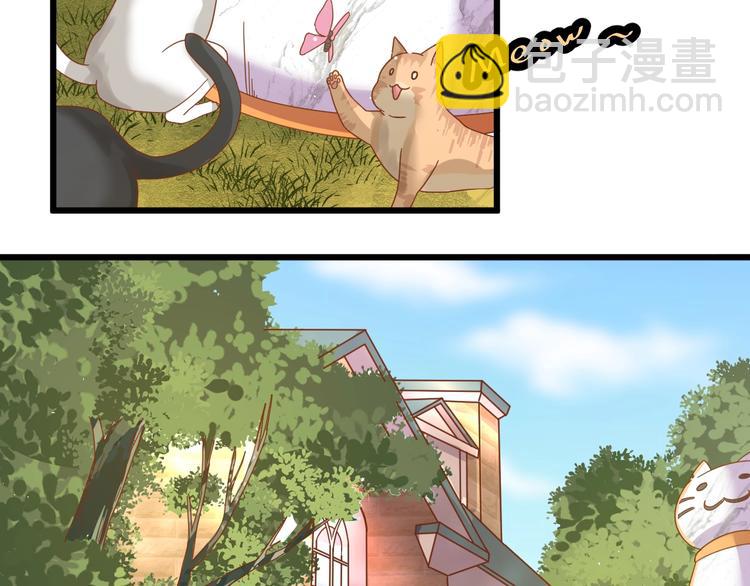 第1话 猫才不接受包办婚姻41