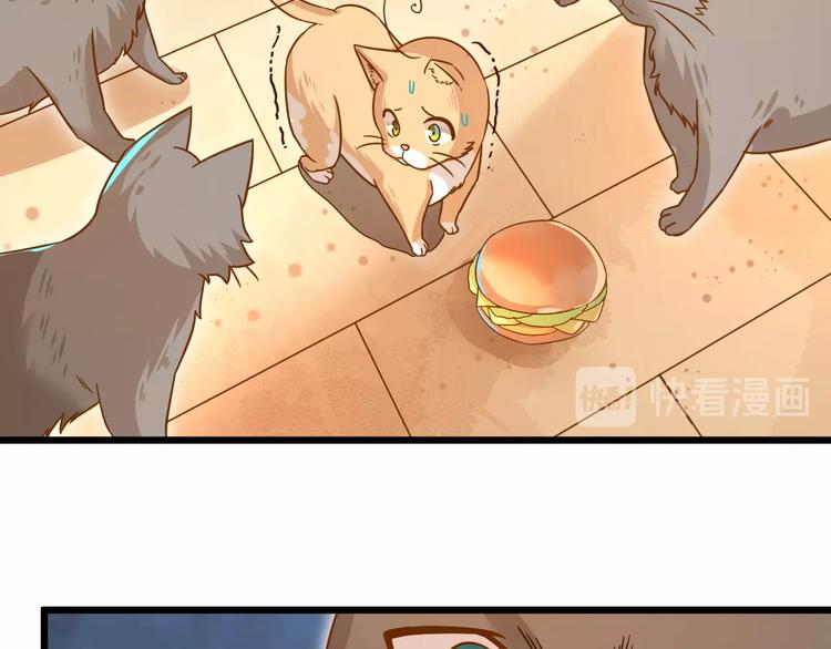 第7话 变回原形的橘猫公主76