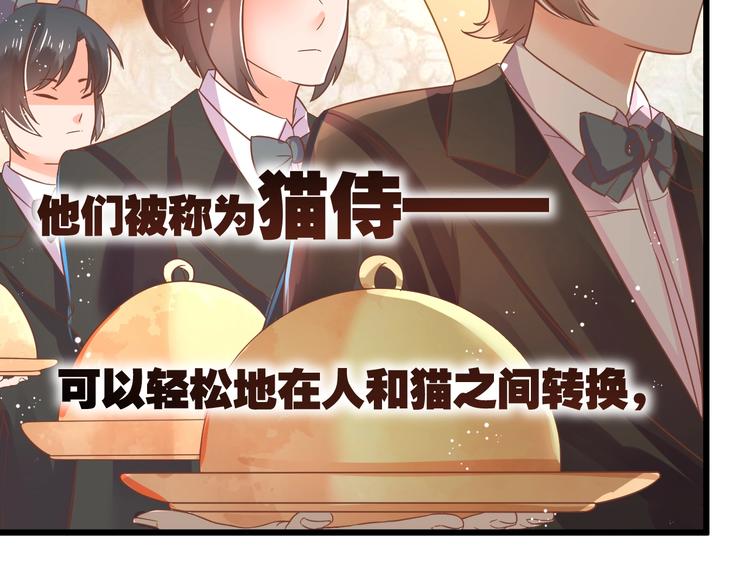 第1话 猫才不接受包办婚姻59