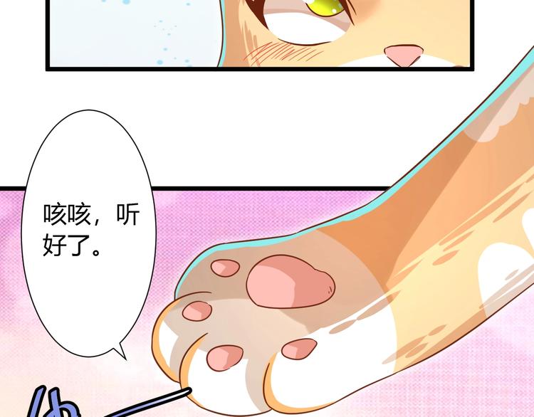 第7话 变回原形的橘猫公主70