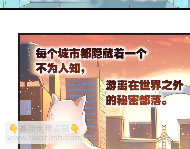第1话 猫才不接受包办婚姻57