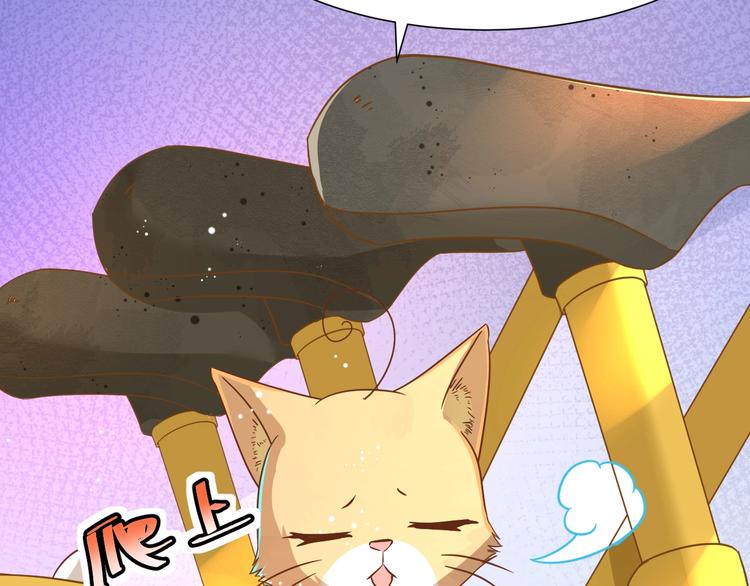 第7话 变回原形的橘猫公主39