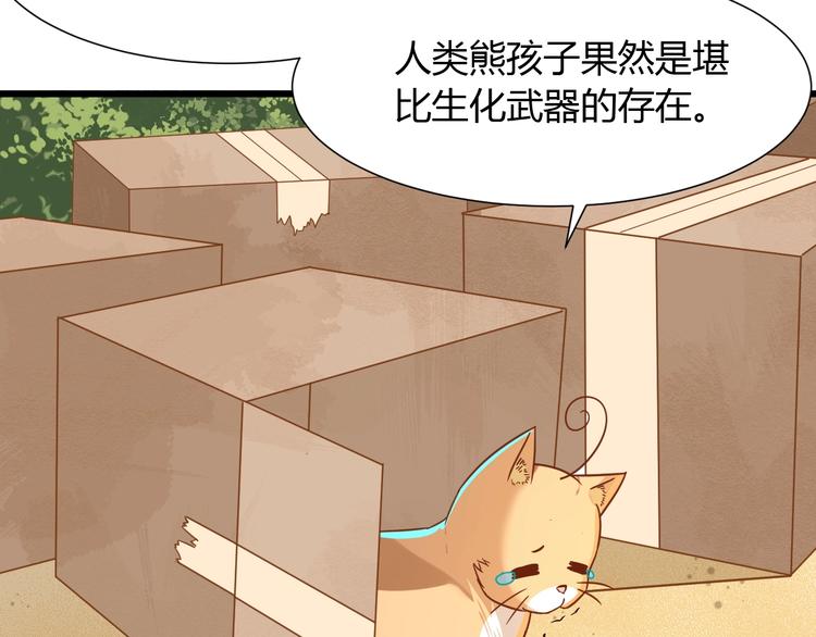 第7话 变回原形的橘猫公主51