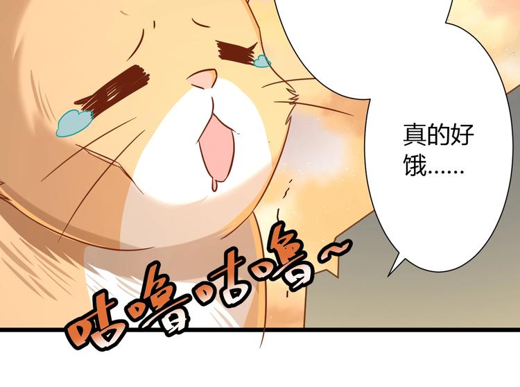 第7话 变回原形的橘猫公主53