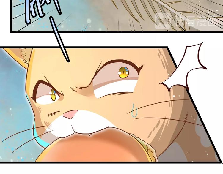 第7话 变回原形的橘猫公主61
