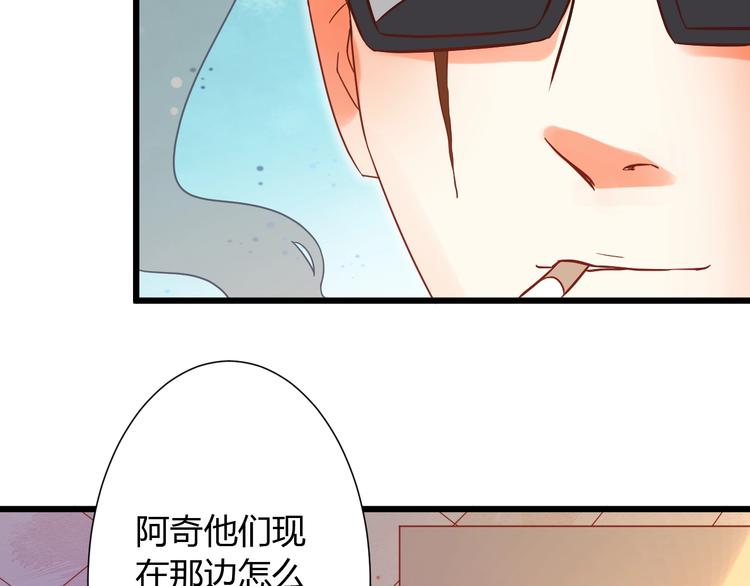 第12话 铲屎官的危机90