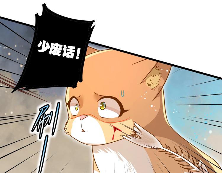 第7话 变回原形的橘猫公主74