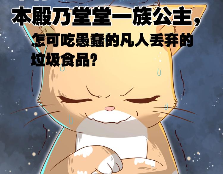 第7话 变回原形的橘猫公主57