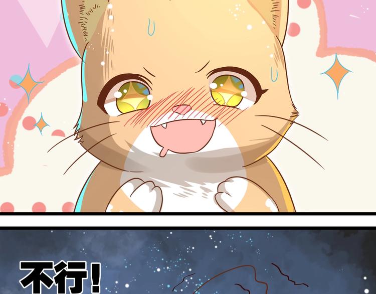 第7话 变回原形的橘猫公主56