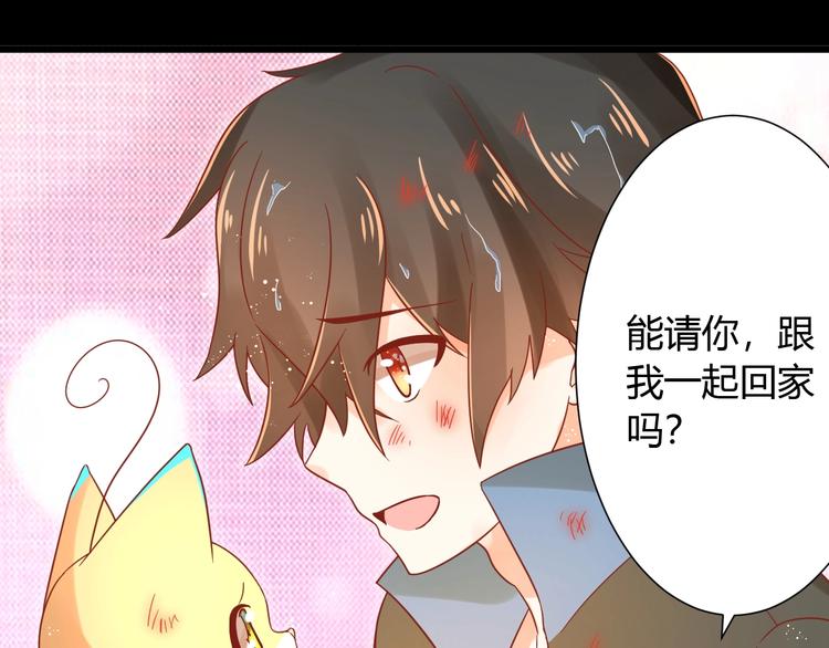 第12话 铲屎官的危机11