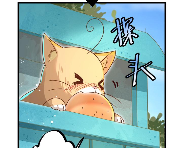 第7话 变回原形的橘猫公主59