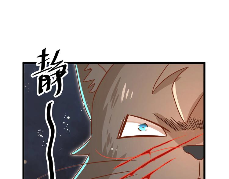 第7话 变回原形的橘猫公主84