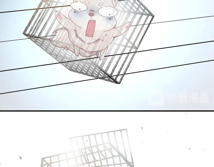 完结篇37