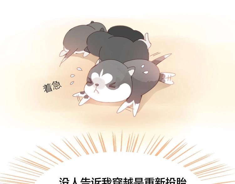 第1话  从天而降的狗子9