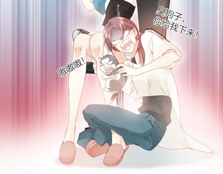 哈士奇狼王子X计算机理工女4