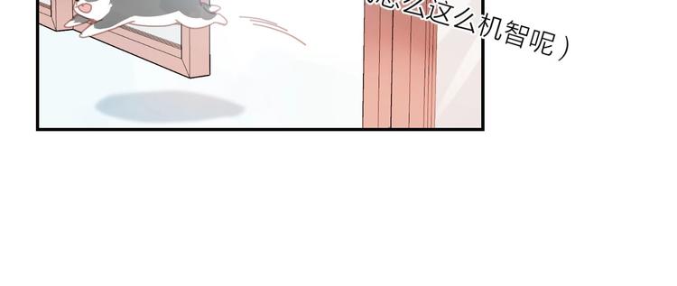 第1话  从天而降的狗子111