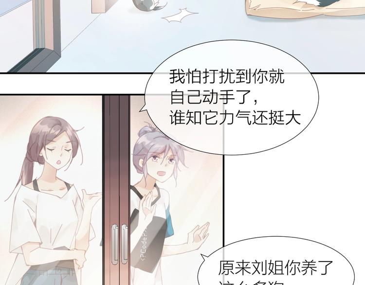 第1话  从天而降的狗子79
