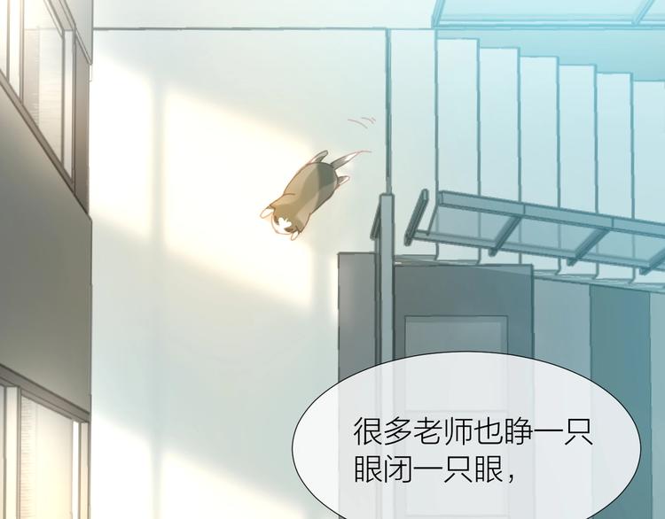 第8话  搏一搏小狗变帅哥20