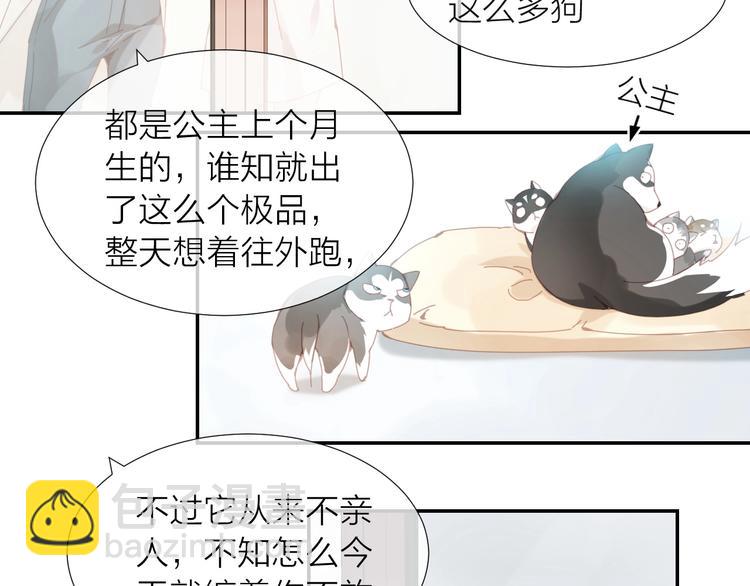 第1话  从天而降的狗子80