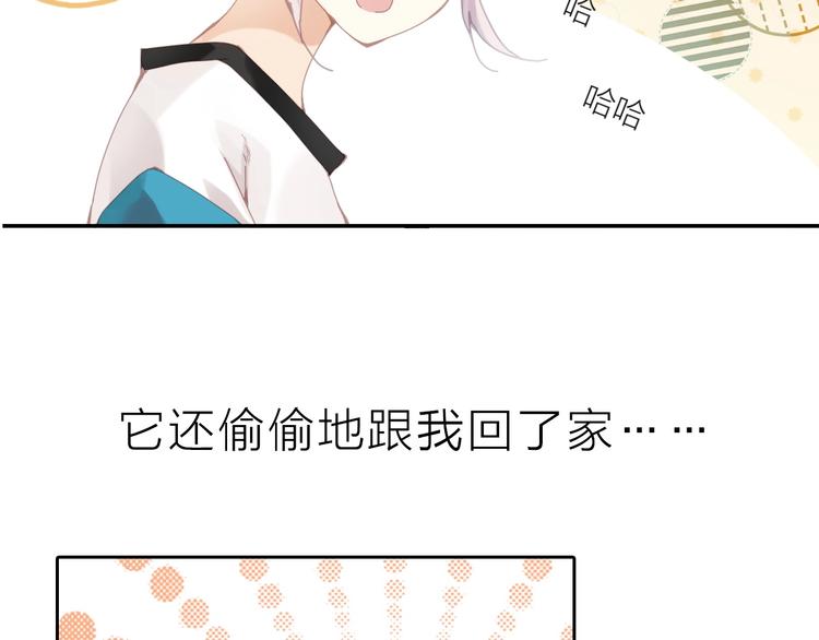 哈士奇狼王子X计算机理工女6
