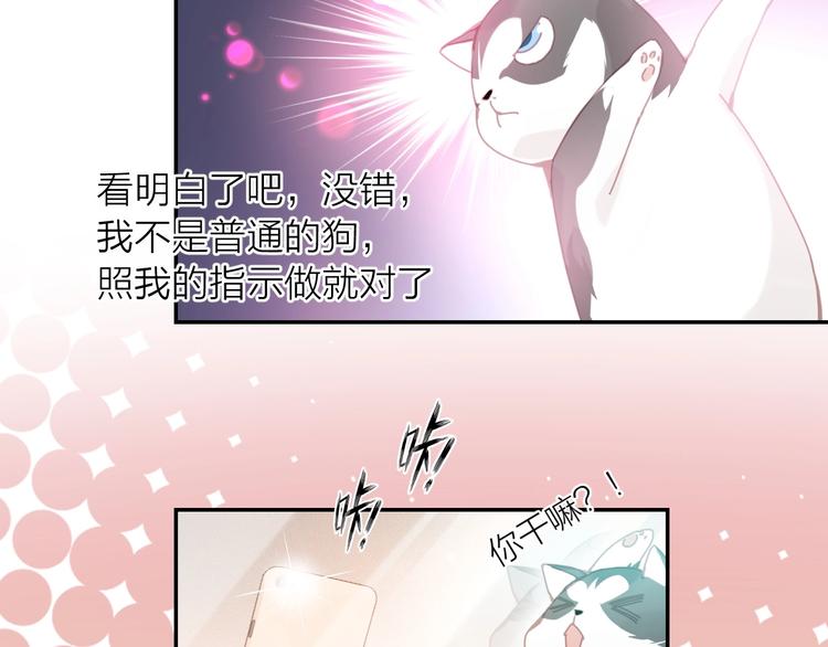 第1话  从天而降的狗子89