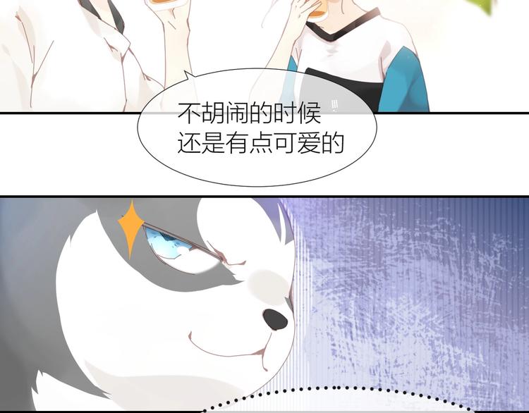 第1话  从天而降的狗子104