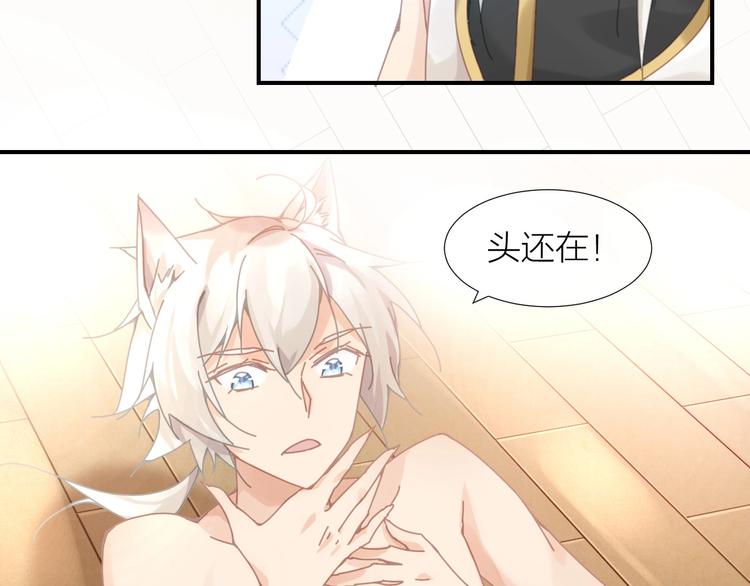 第3话  这戏剧性的会面3