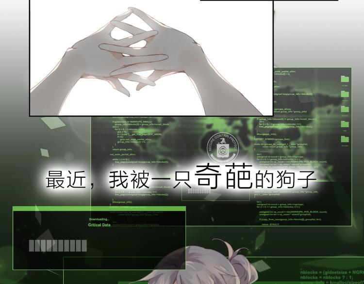 哈士奇狼王子X计算机理工女1