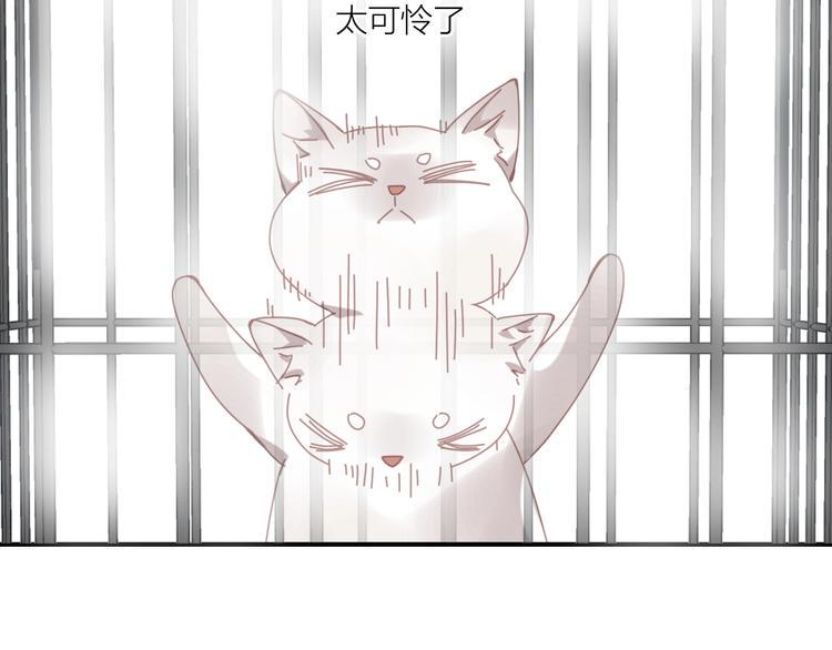 完结篇14