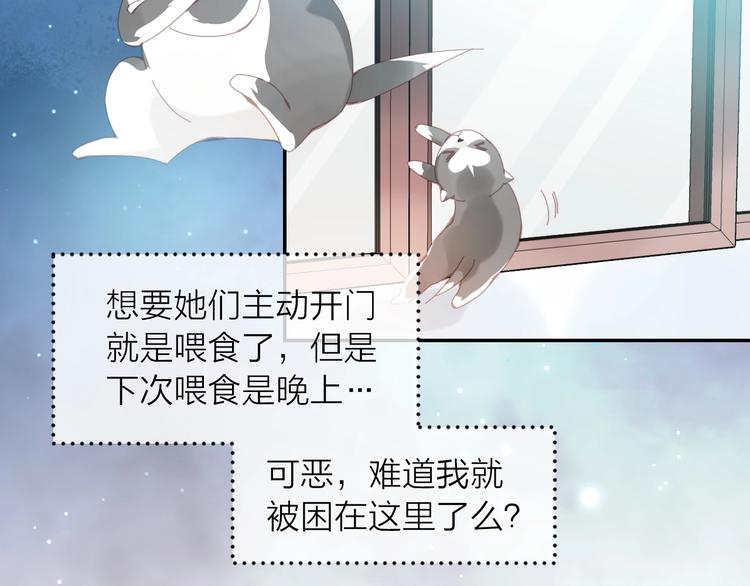 第1话  从天而降的狗子100