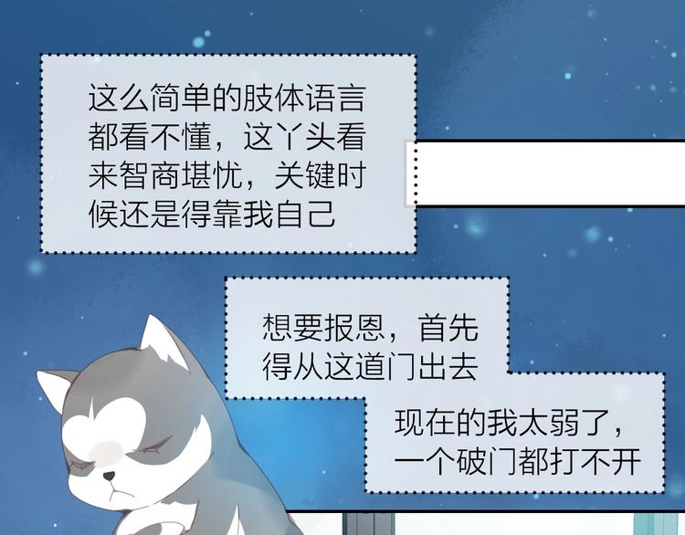 第1话  从天而降的狗子99