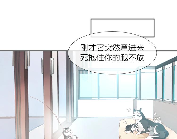第1话  从天而降的狗子78