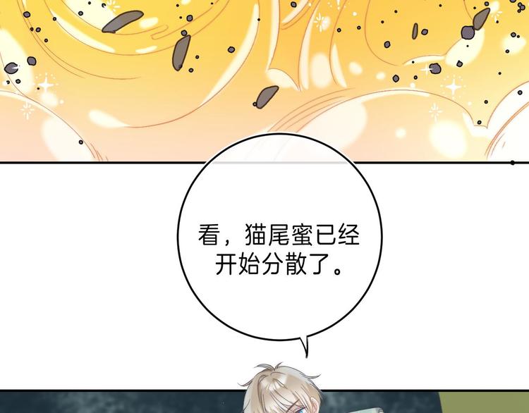 第11话 与你同进34