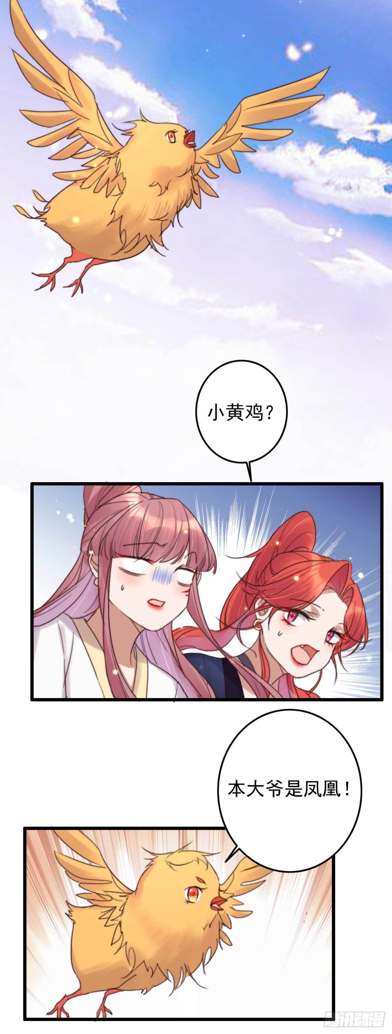 第11话 小黄鸡还是凤凰？9