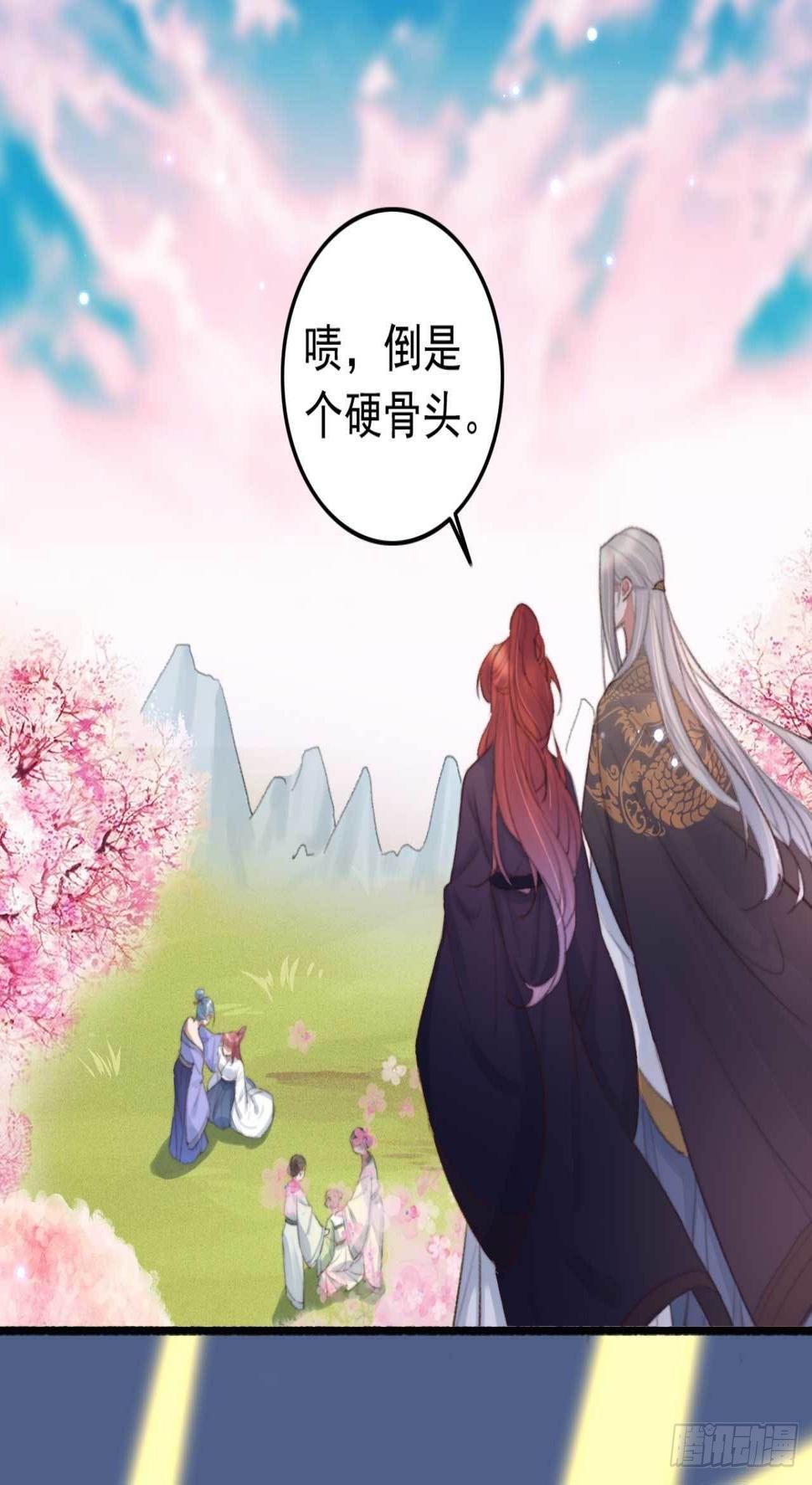 第2话 分期还是全款14