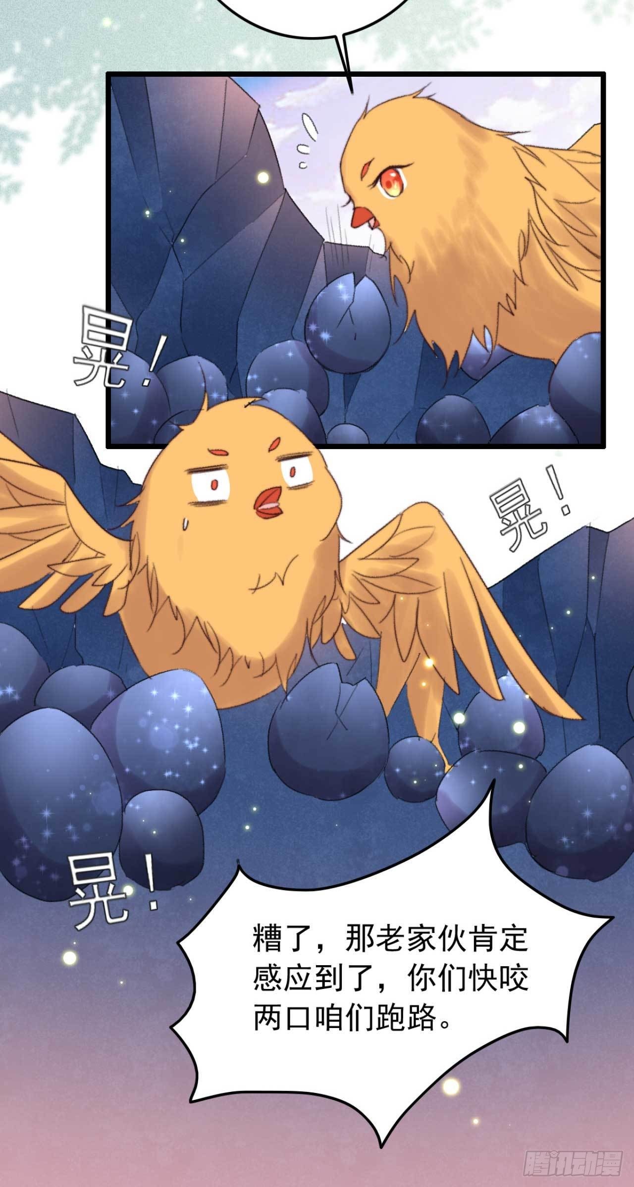 第11话 小黄鸡还是凤凰？13