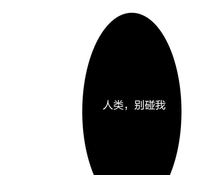 第8话 封印背后的阴谋12