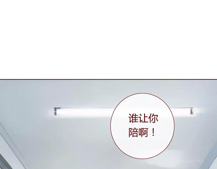 最终话 平静77