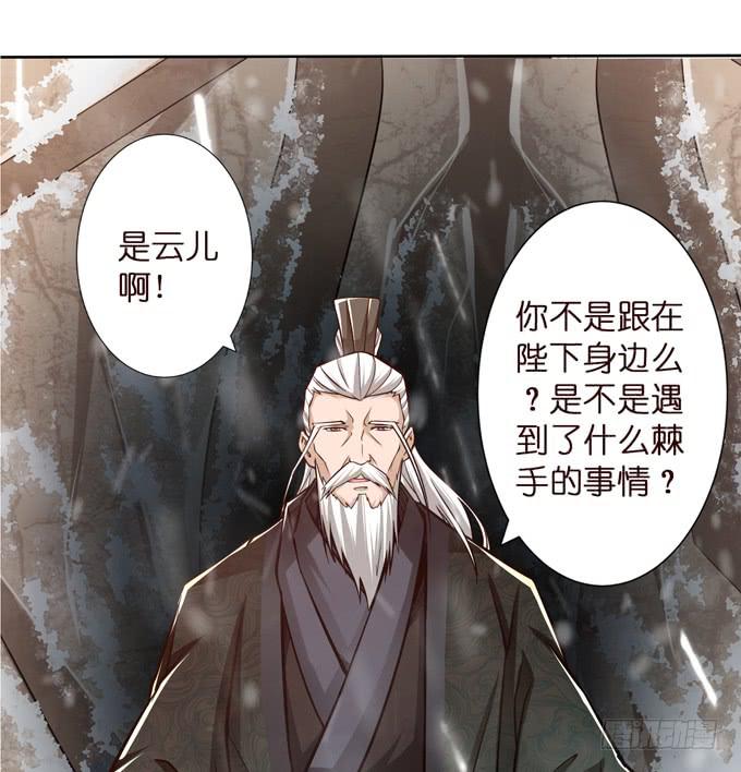 百鸟朝凤7
