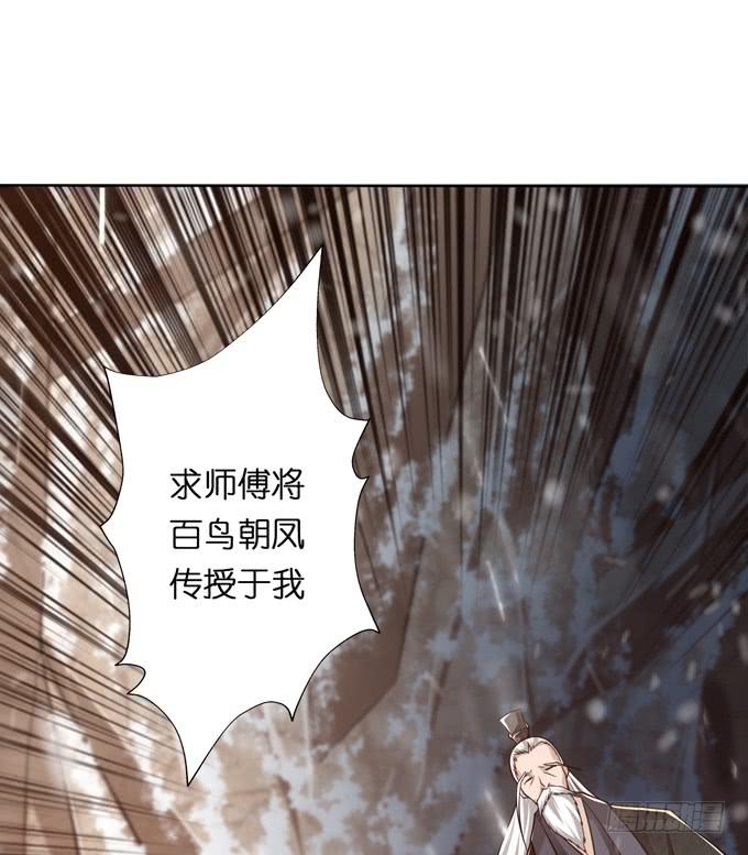 百鸟朝凤10
