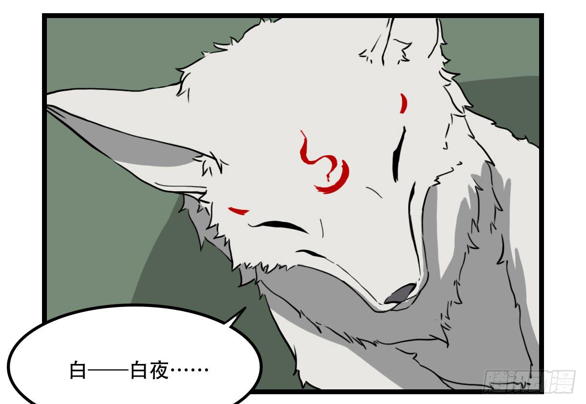 献上妖丹46